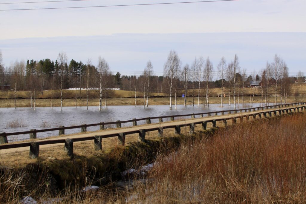 Ruonan vanha kivisilta. Sillan takana kevättulvia.